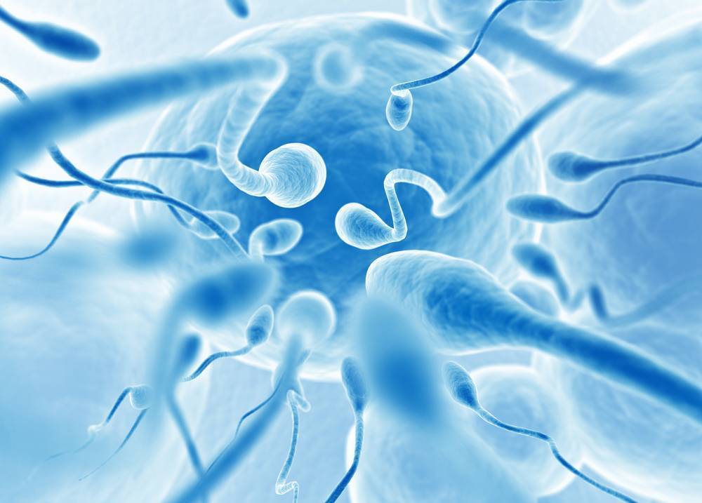 Συλλογή σπέρματος για σπερμοδιάγραμμα, σπερματέγχυση ή IVF.