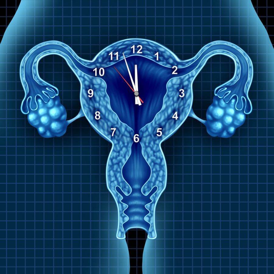 Η ανακάλυψη αυτή είναι το πρώτο βήμα προς την δημιουργία προγεννητικών παρεμβάσεων για την προστασία της γονιμότητας των γυναικών που φαίνεται πως αναπτύχθηκαν σε δυσμενές, όχι φιλικό για το έμβρυο, περιβάλλον της μήτρας.